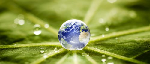 Porton Pharma Solutions Joined the SBTi to Drive Climate Action Feature Image
