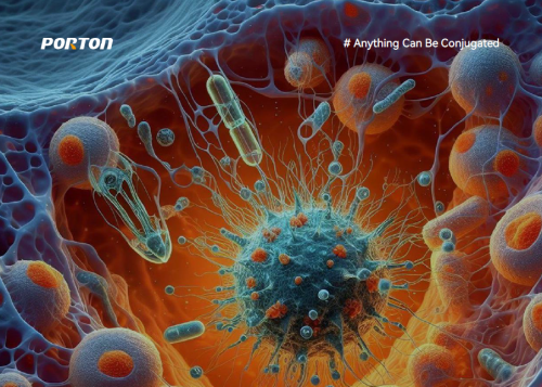 Exploring Antibody Oligonucleotide Conjugates: Insights and Case Study Feature Image