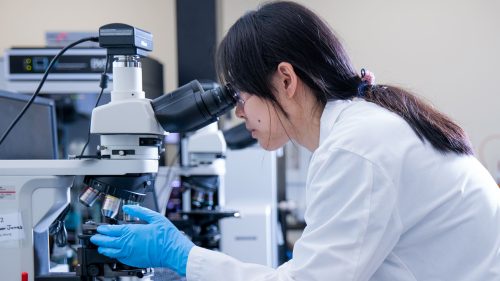 Computational Chemistry & Data Science Capabilities