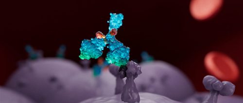 Porton Biologics and Conjugates CDMO Service Feature Image