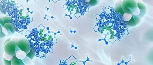 The Perfect Integration of Immobilized Enzymes and Flow Chemistry: A Powerful Booster for the Commercialization of Biocatalysis Technology Feature Image